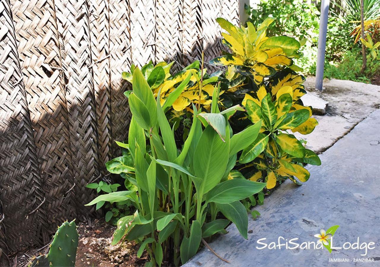 Safisana Lodge 江比阿 外观 照片